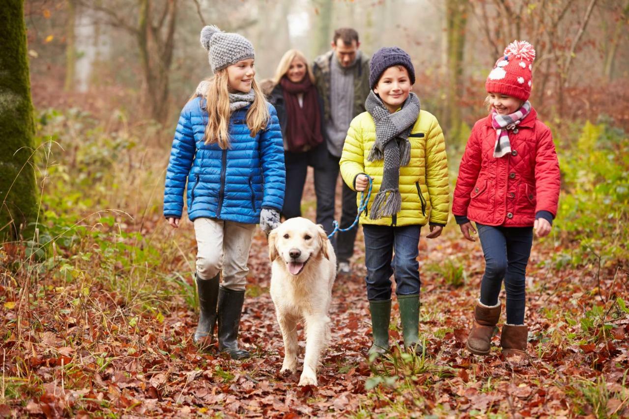 Macdonald Woodland Lodges At Macdonald Aviemore Resort Экстерьер фото